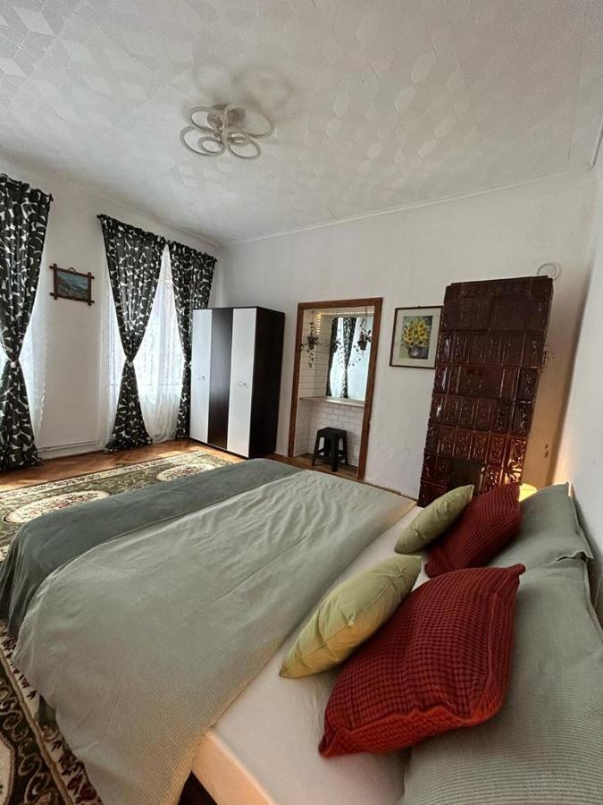 Guest House Rusu ブラショフ エクステリア 写真