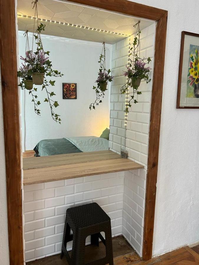 Guest House Rusu ブラショフ エクステリア 写真