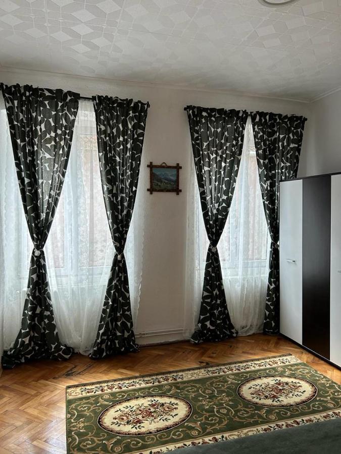 Guest House Rusu ブラショフ エクステリア 写真