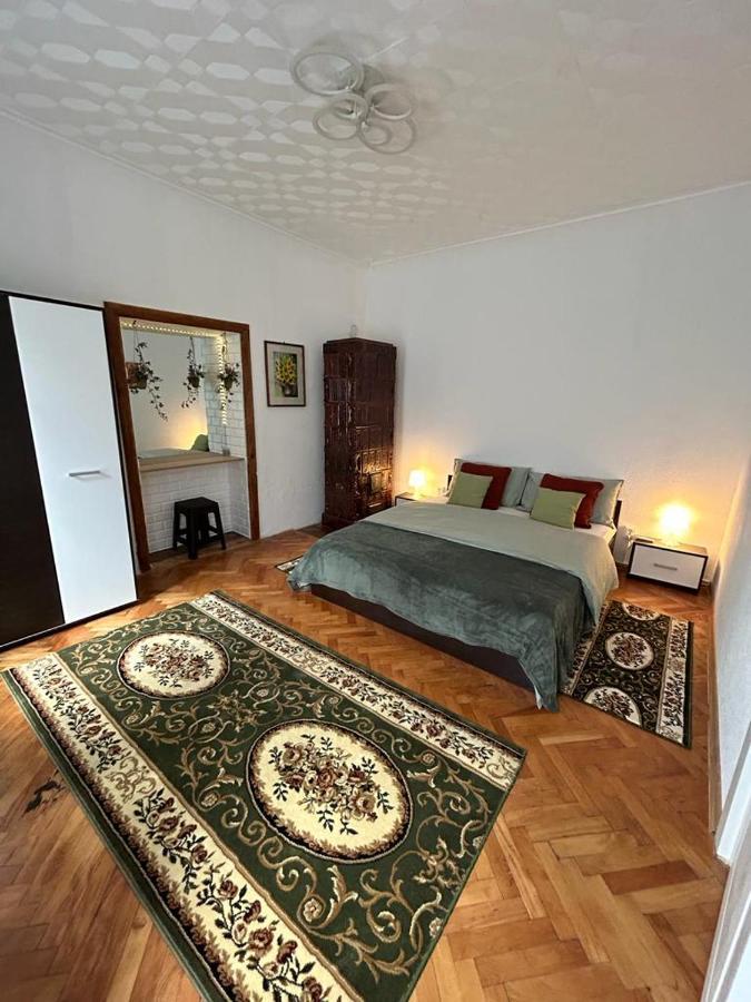 Guest House Rusu ブラショフ エクステリア 写真