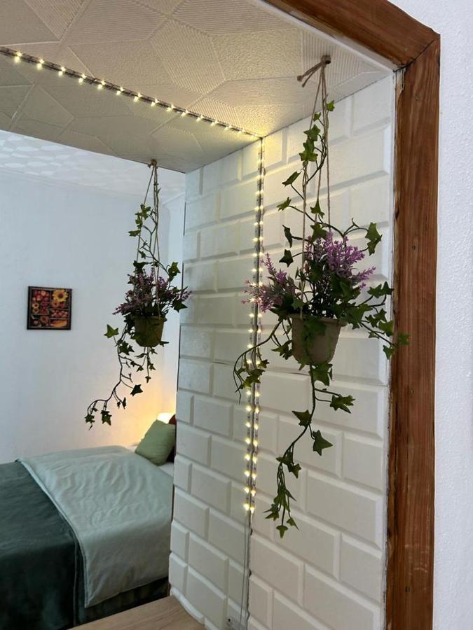 Guest House Rusu ブラショフ エクステリア 写真