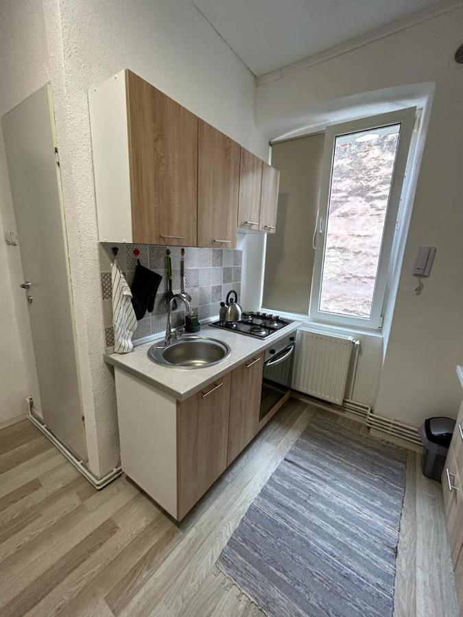 Guest House Rusu ブラショフ エクステリア 写真