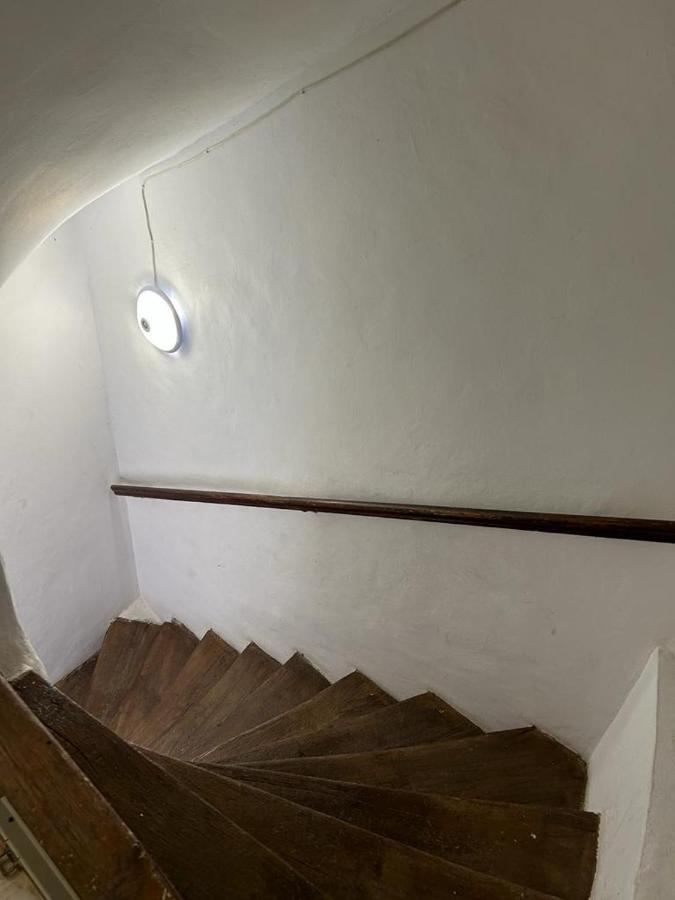 Guest House Rusu ブラショフ エクステリア 写真