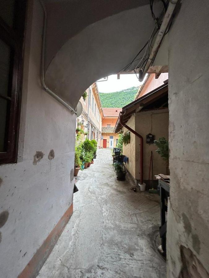 Guest House Rusu ブラショフ エクステリア 写真